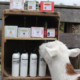 Southern Grace goat milk lotion and soap