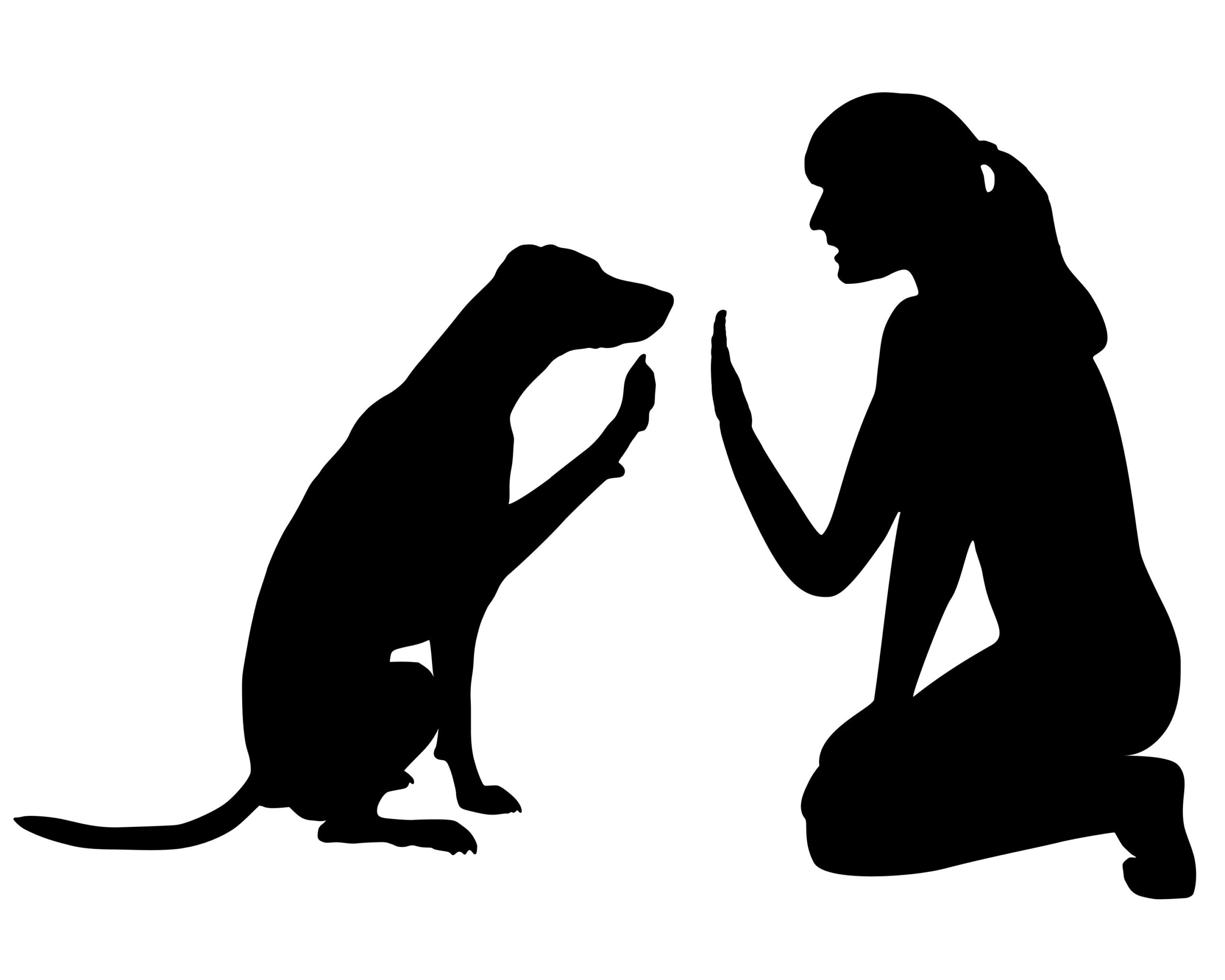 Appalachian Canine Therapy Logo
