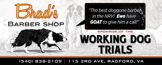 Logo Sponsor Brad's barber shop