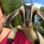 Profile picture of Matt & Lavinia Allen